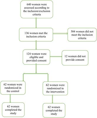 The effect of curcumax on postpartum women’s depression: a randomized controlled trial